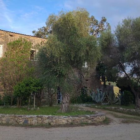 Domaine Ostriconi Bed & Breakfast Palasca  Ngoại thất bức ảnh
